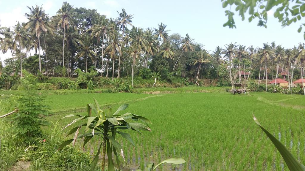 Pondok Tulasi Semaya House Payangan Dış mekan fotoğraf