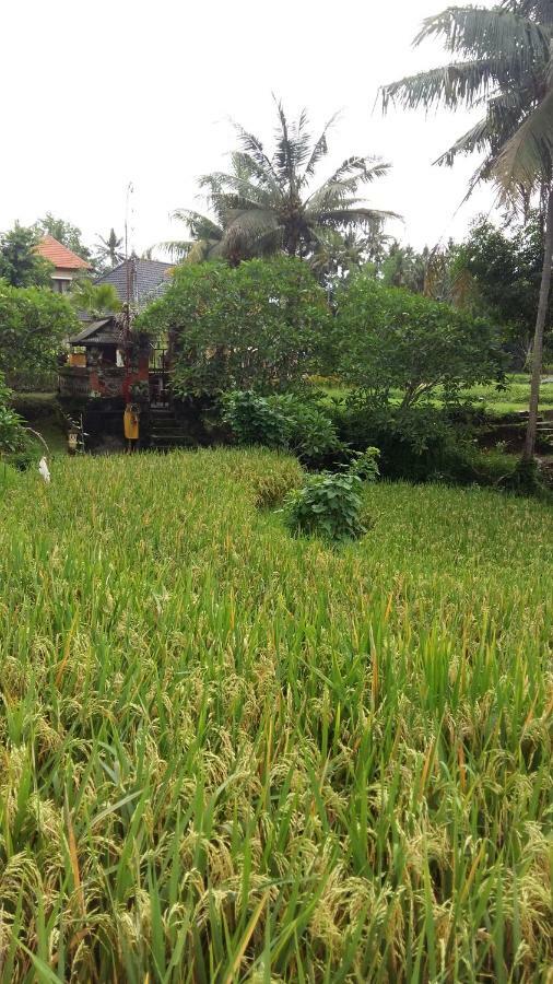 Pondok Tulasi Semaya House Payangan Dış mekan fotoğraf
