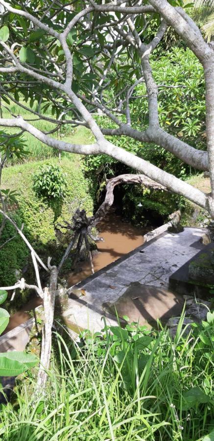 Pondok Tulasi Semaya House Payangan Dış mekan fotoğraf